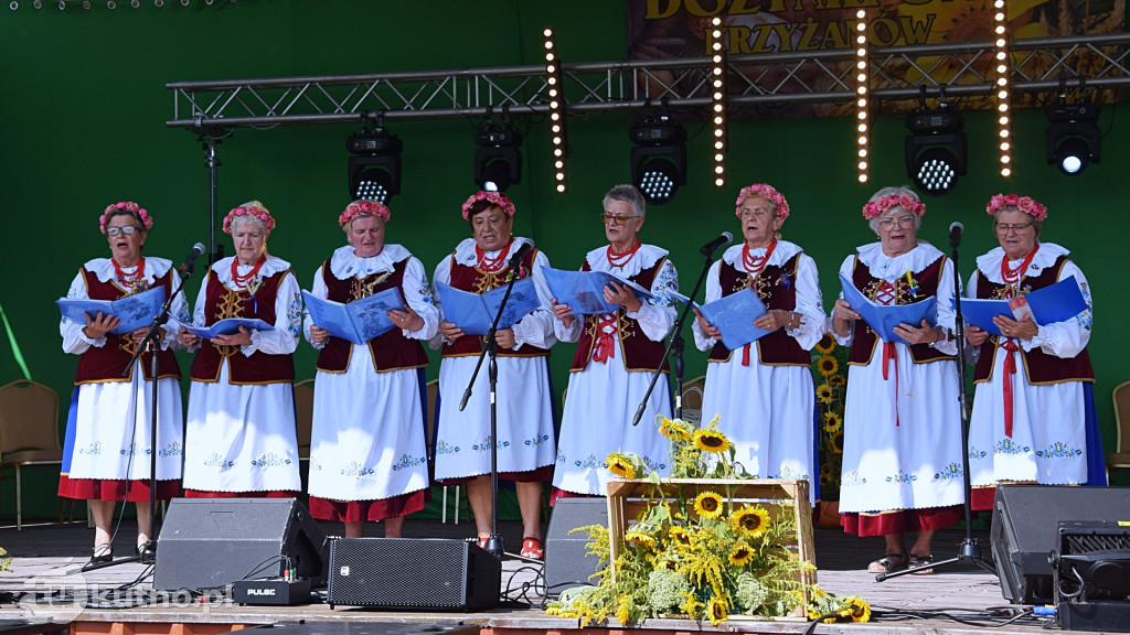 Dożynki Gminne w Krzyżanowie