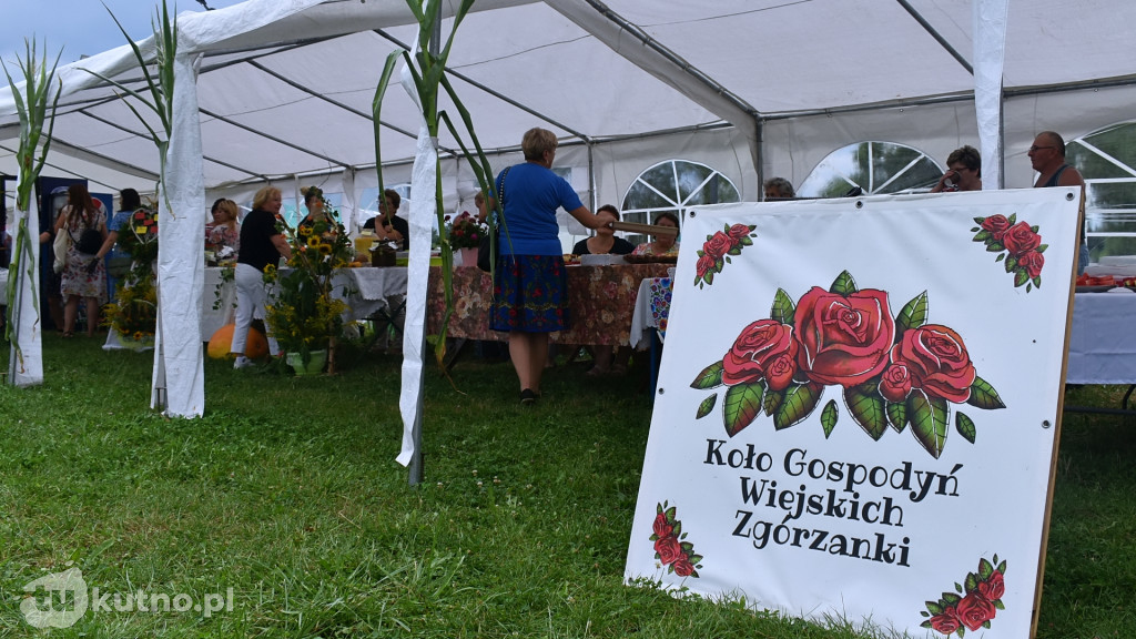 Odzyskanie praw miejskich i dożynki w Dąbrowicach