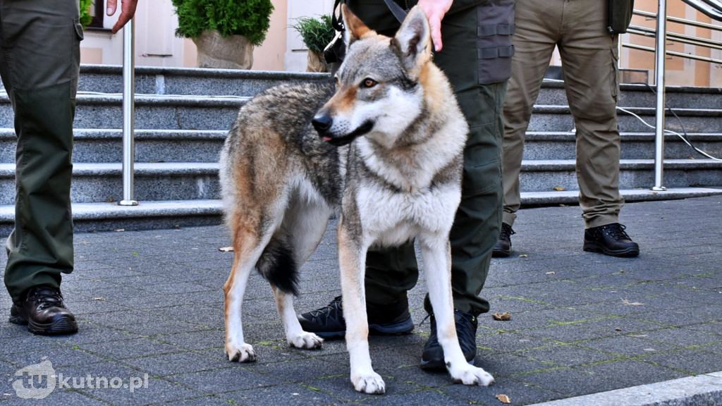 XV Łęczycki Hubertus Ekologiczny