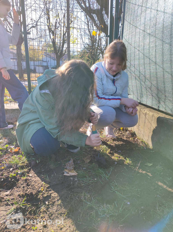 Projekt Krokus w SP nr 4 w Kutnie