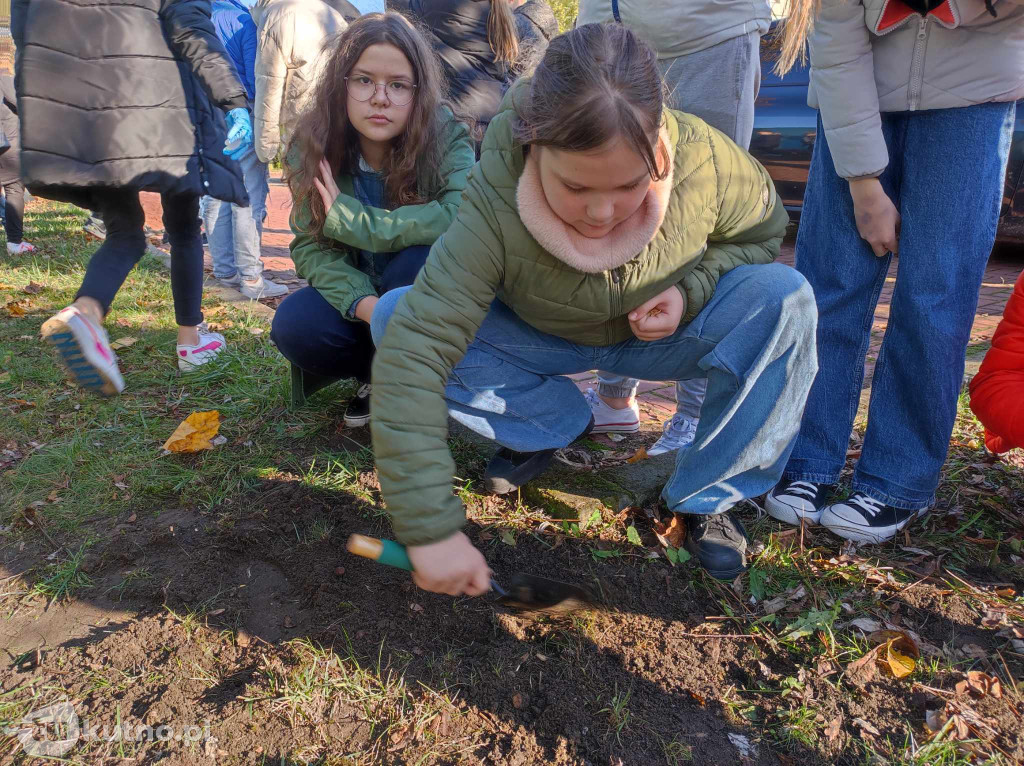 Projekt Krokus w SP nr 4 w Kutnie