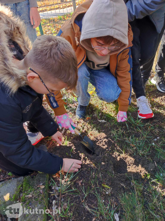 Projekt Krokus w SP nr 4 w Kutnie