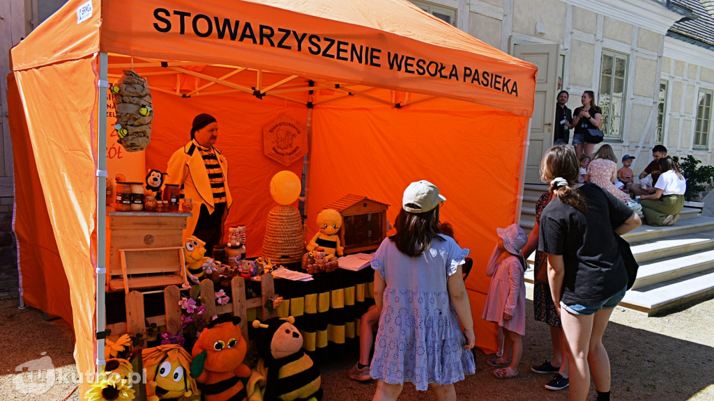 Piknik Majowy w Pałacu w Kutnie