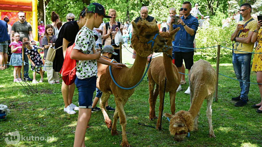 Obchody Trzeciomajowe w Kutnie