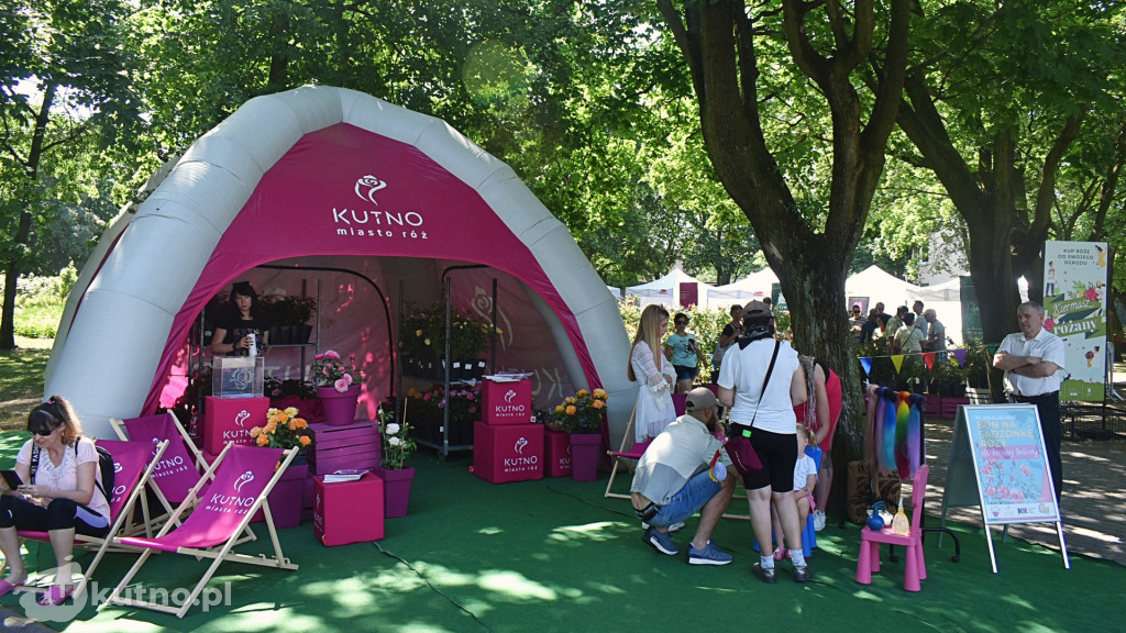 Wystartował Piknik Wśród Róż