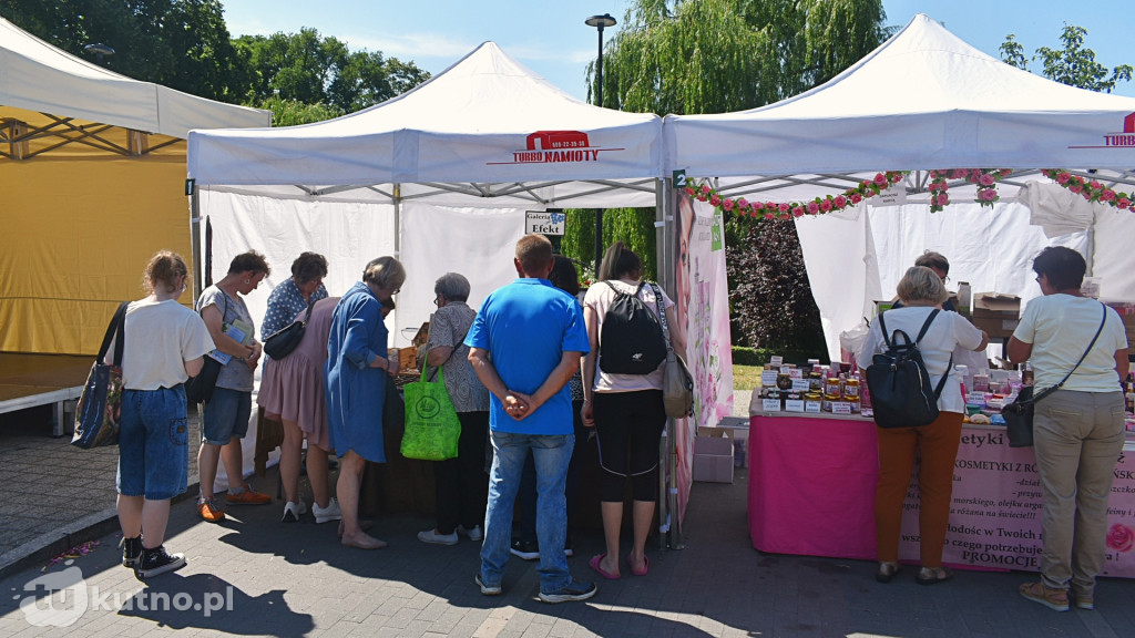 Wystartował Piknik Wśród Róż