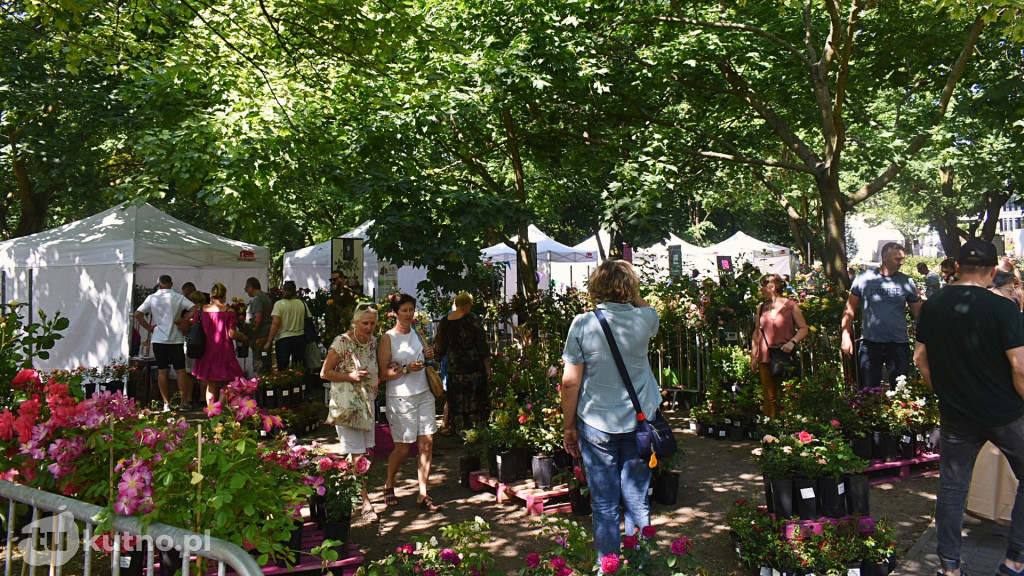 Wystartował Piknik Wśród Róż