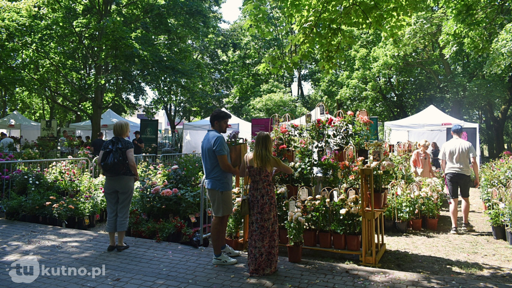 Wystartował Piknik Wśród Róż