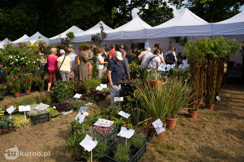 Festiwal Ogrodniczy w Nieborowie