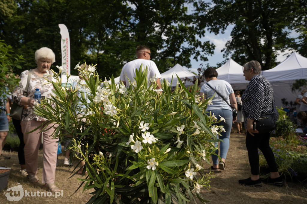 Festiwal Ogrodniczy w Nieborowie