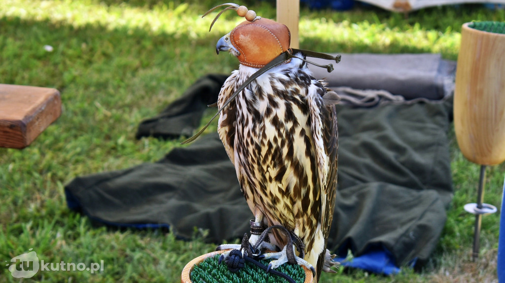 I Festiwal Historyczny w Tumie