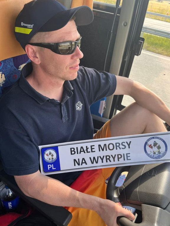 Białe Morsy Kutno - Gostynin