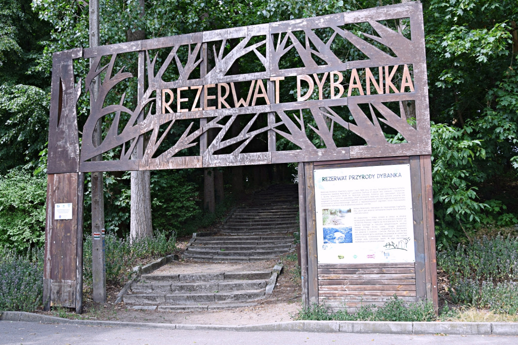 Projekt Plaża - odwiedzamy Kąpielisko Dybanka!