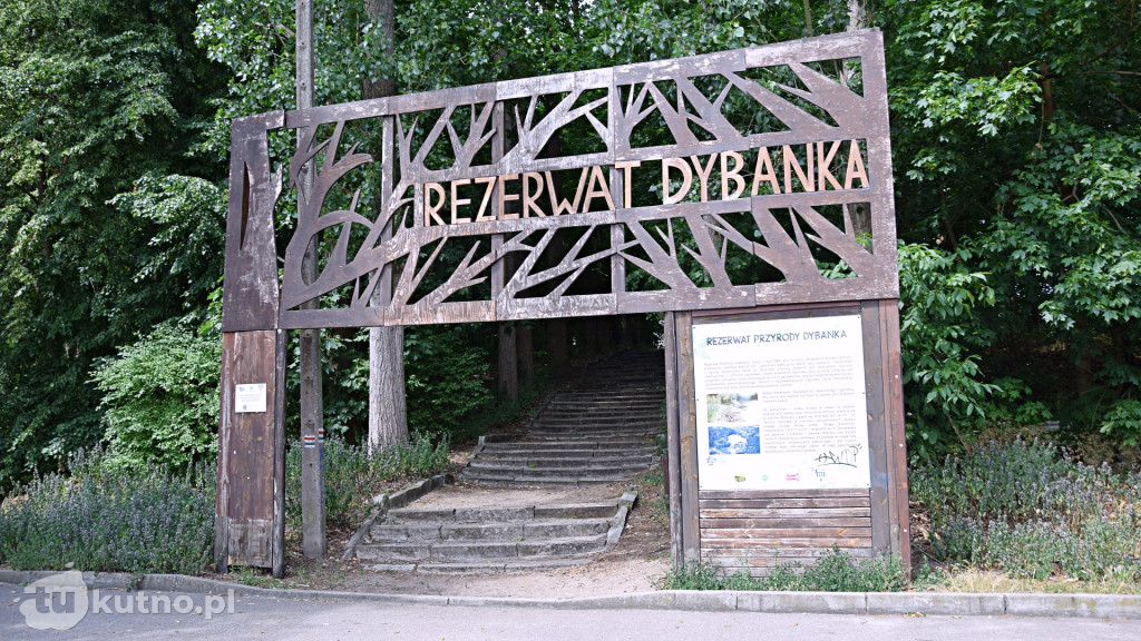 Projekt Plaża - odwiedzamy Kąpielisko Dybanka!