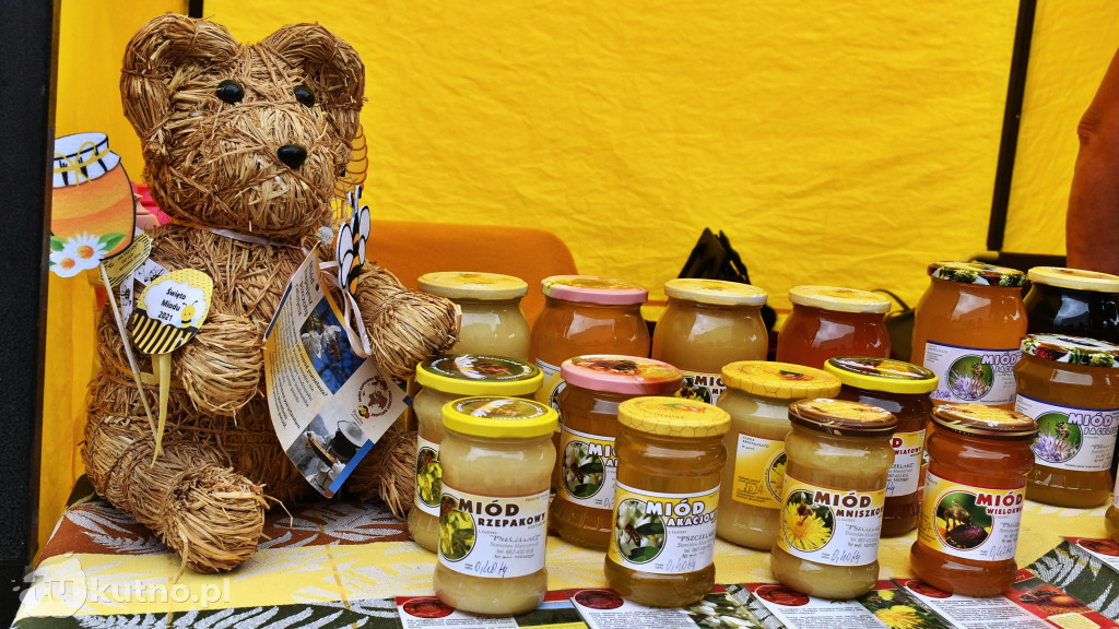 13. Święto Miodu Gminy Witonia