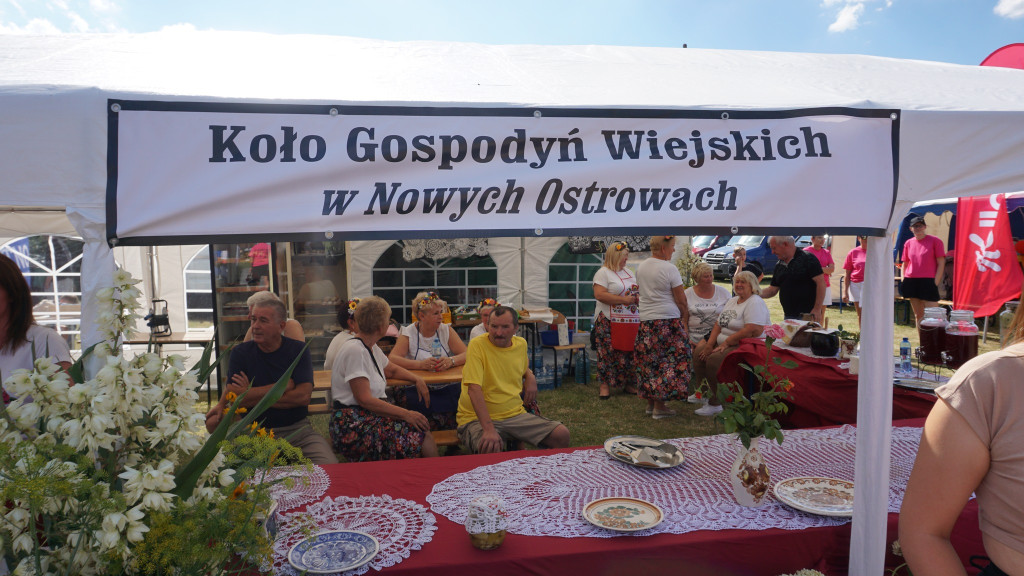 3. Sołtysiada w Gminie Nowe Ostrowy