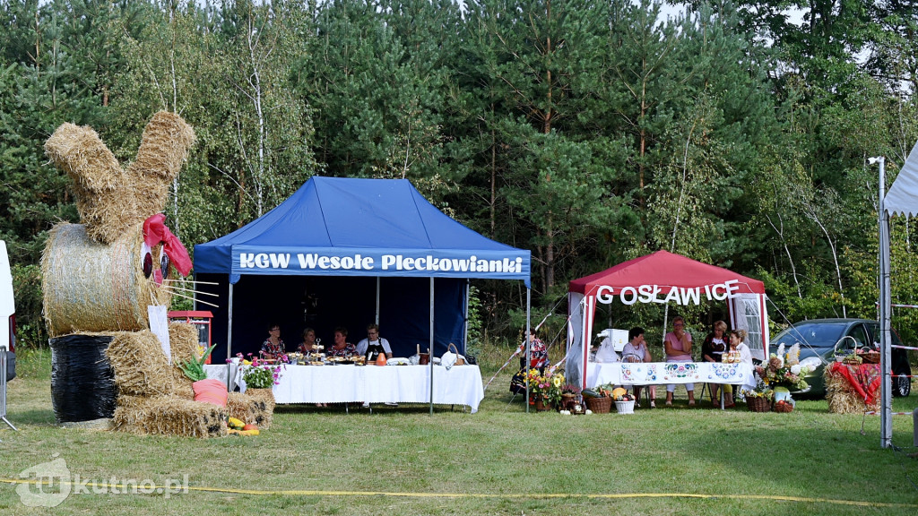 Dożynki Gminy Bedlno 2024