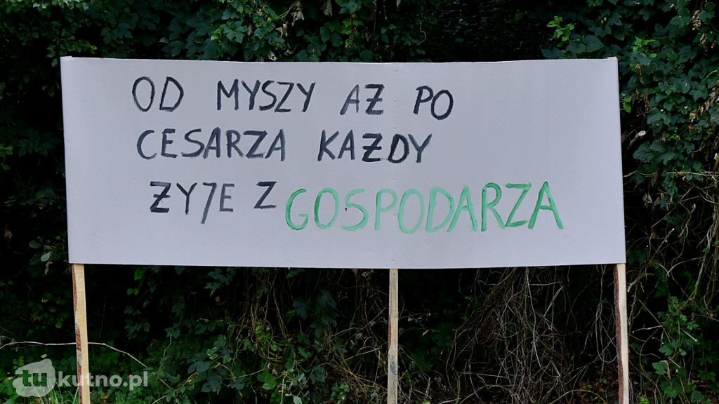 Dożynki Gminy Bedlno 2024