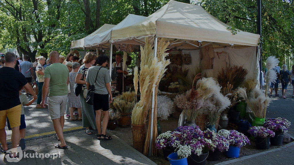 II dzień obchodów 50. Święta Róży