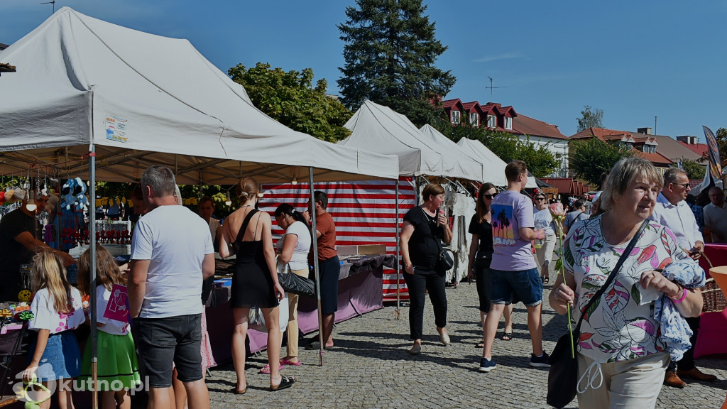II dzień obchodów 50. Święta Róży