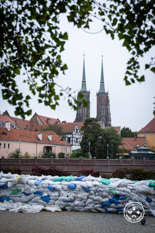 Operacja Feniks z udziałem WOT