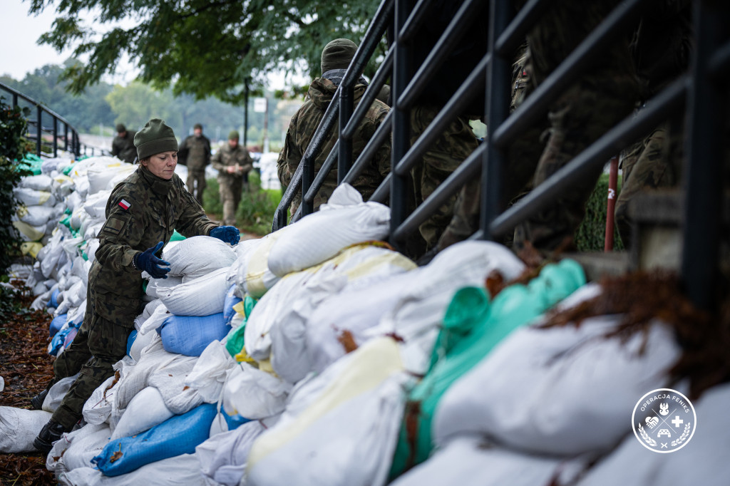 Operacja Feniks z udziałem WOT
