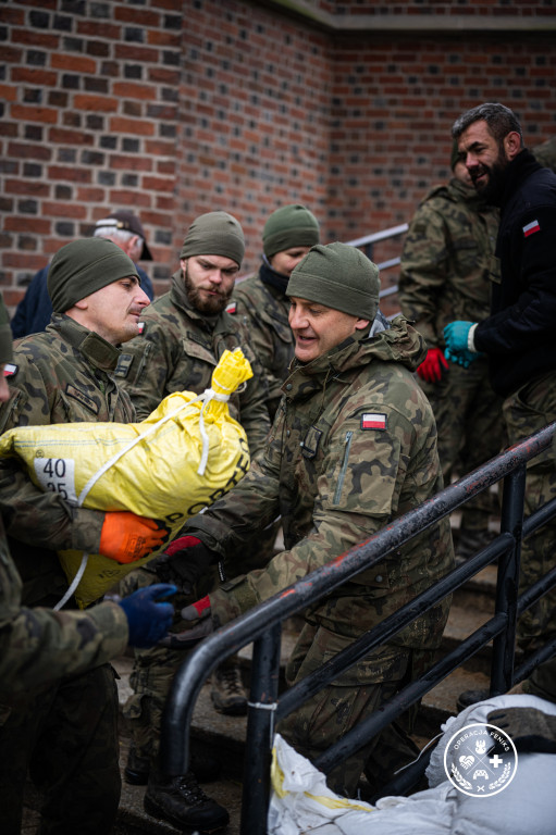 Operacja Feniks z udziałem WOT