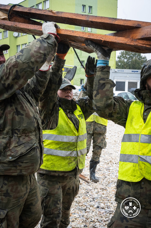 Operacja Feniks z udziałem WOT