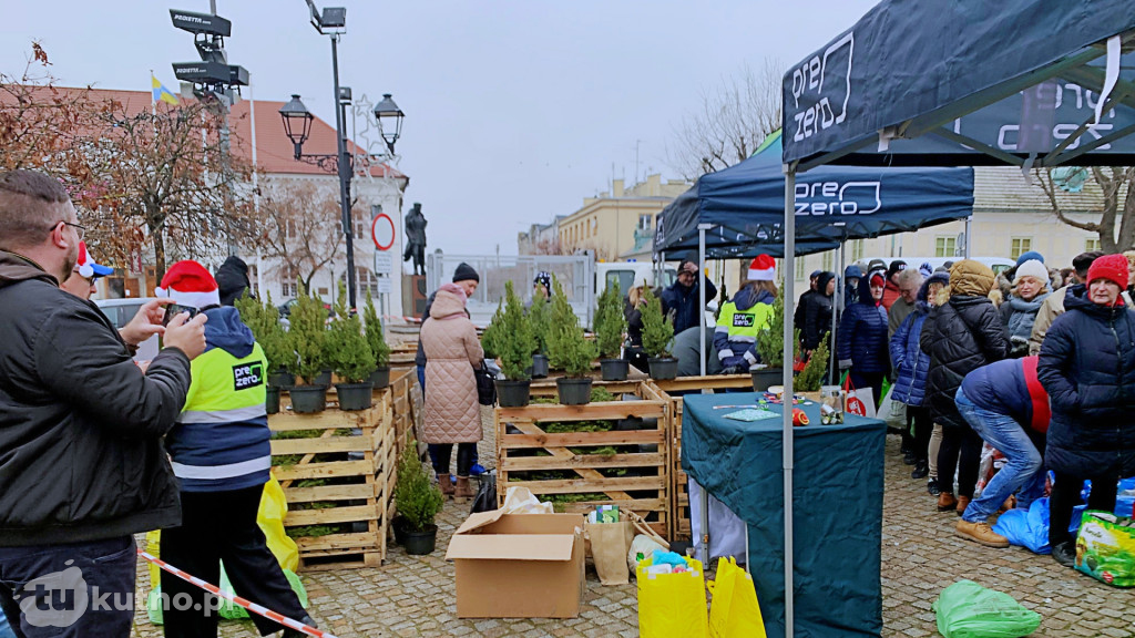 Wymień szkło na choinkę!