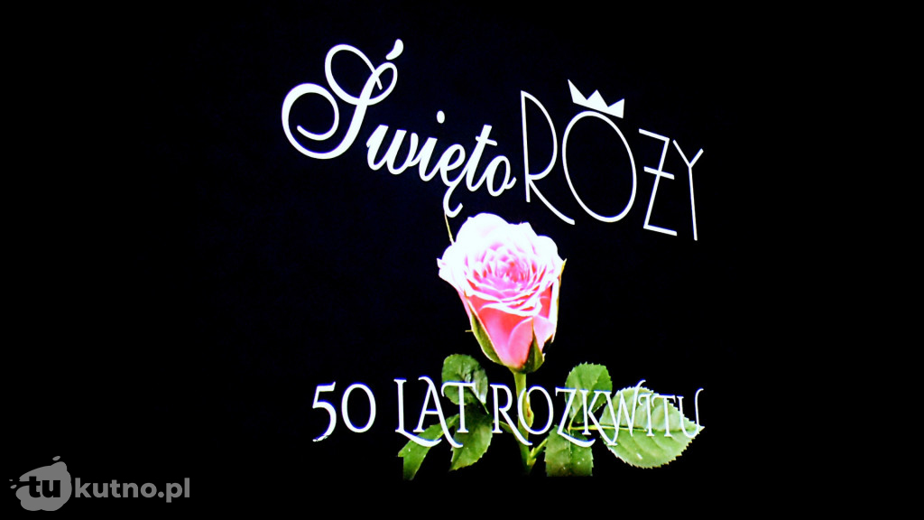50 lat Święta Róży - podsumowanie