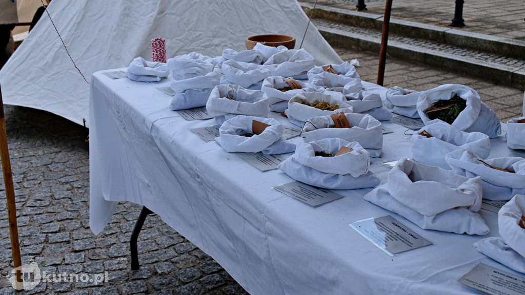 Niech żyje król! Trwa Festiwal Saski