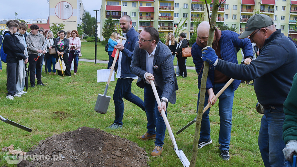 Zasadzili drzewa na 35-lecie