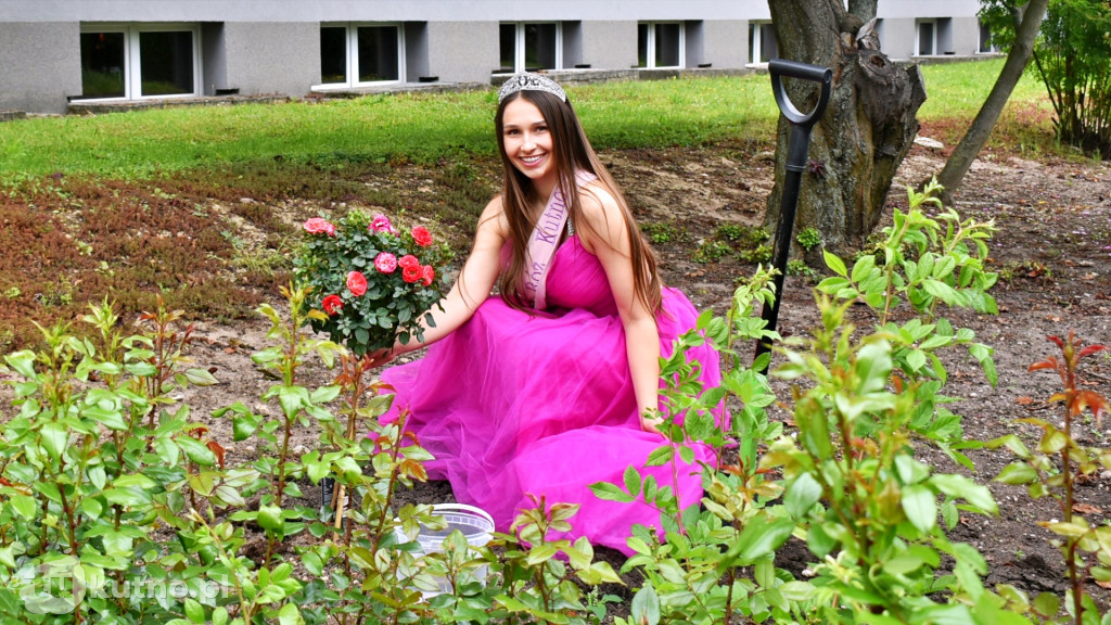 Koloriada w kutnowskiej \