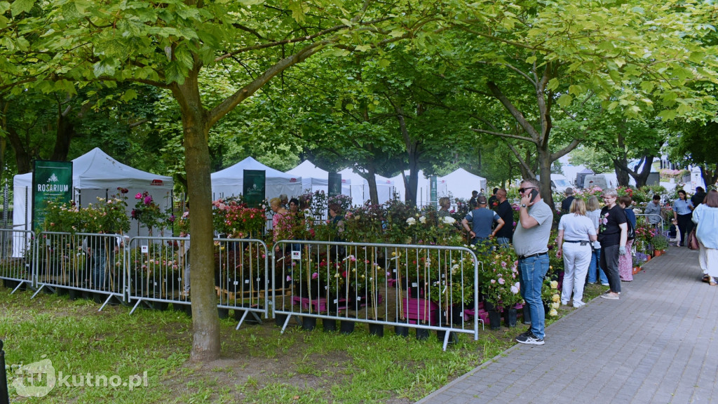 Piknik Wśród Róż Kutno 2025