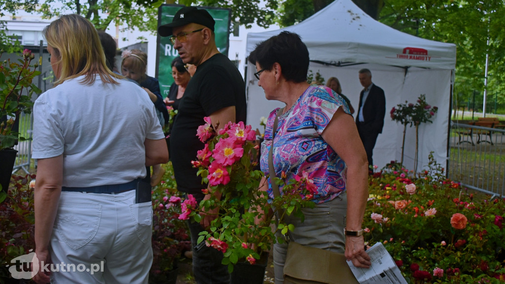 Piknik Wśród Róż Kutno 2025