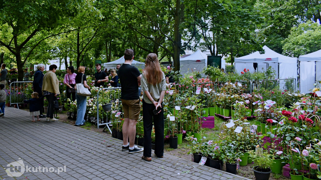 Piknik Wśród Róż Kutno 2025