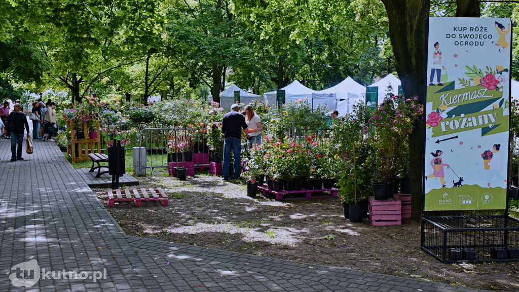 Piknik Wśród Róż Kutno 2025