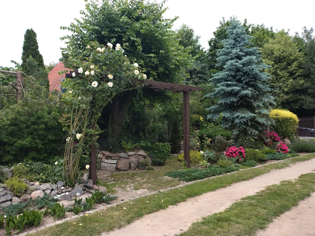 Najładniejszy Ogród Gminy Krzyżanów 2025