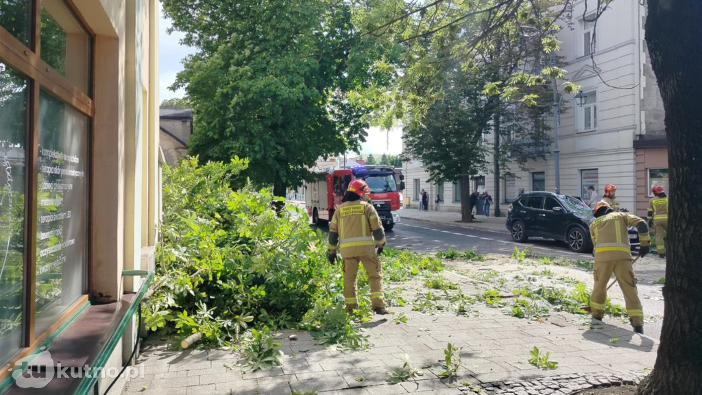 Zawalone drzewo na Sienkiewicza