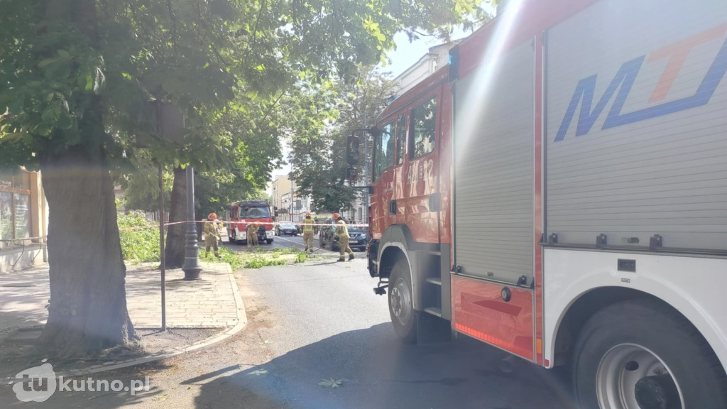 Zawalone drzewo na Sienkiewicza