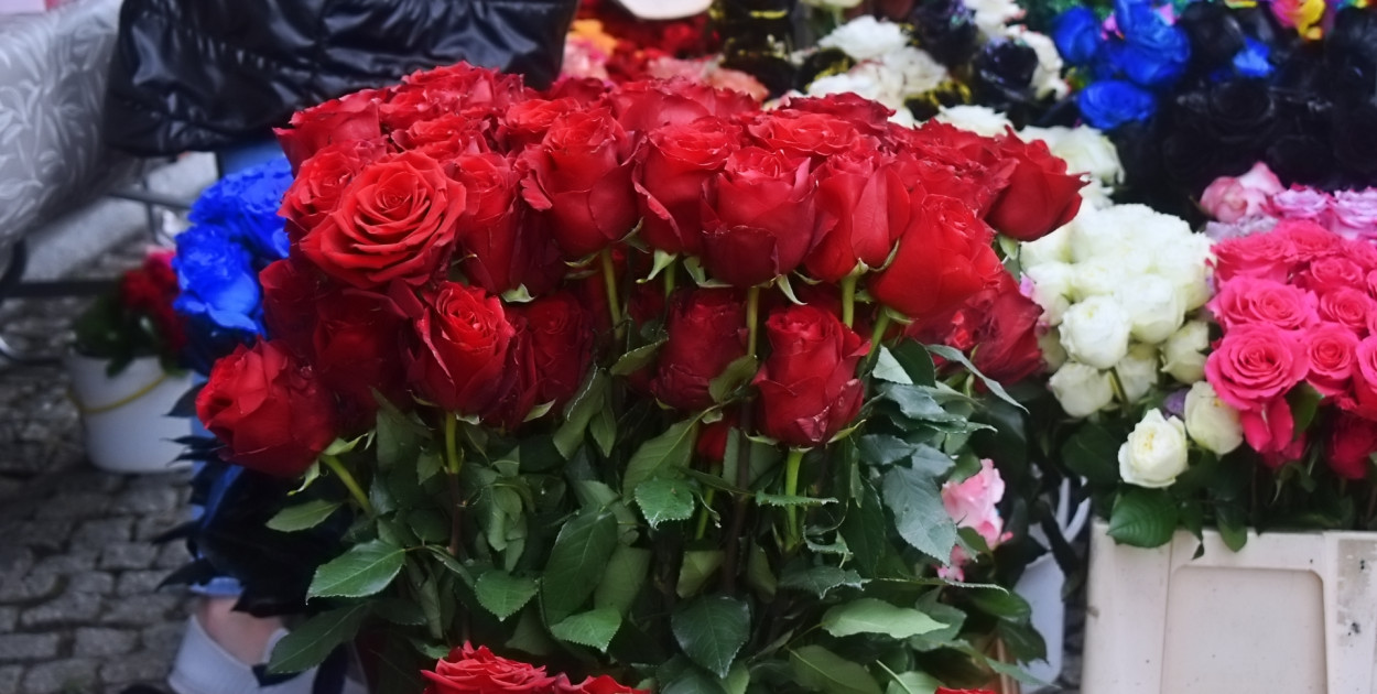 III Dzień 51. Święta Róży
