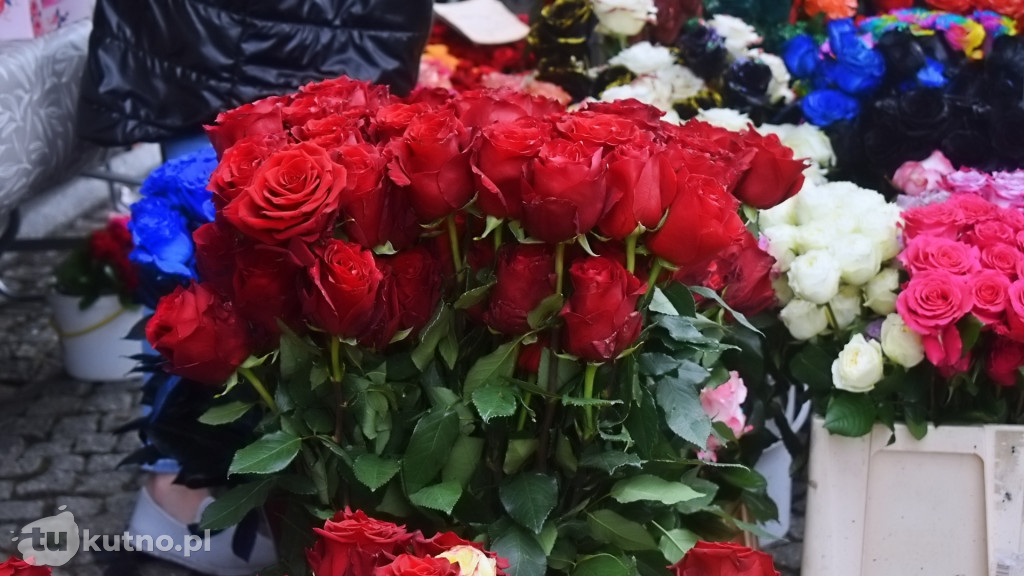 III Dzień 51. Święta Róży