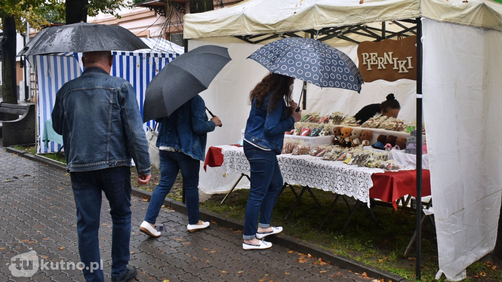46. Łęczyca w Barwach Jesieni