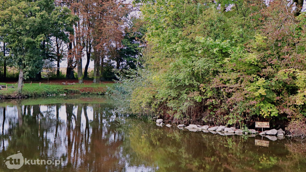 Barwy Jesieni w Leszczynku