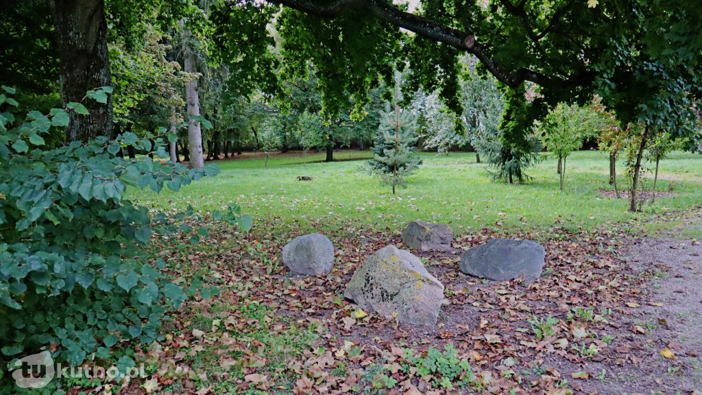 Barwy Jesieni w Leszczynku