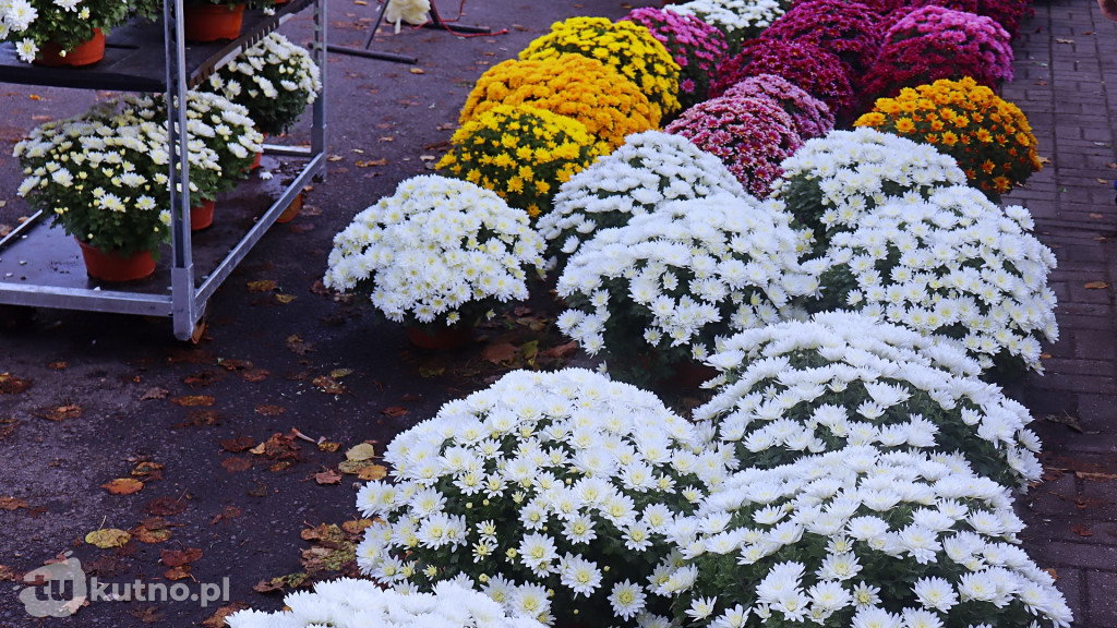 Znicze i kwiaty na Wszystkich Świętych