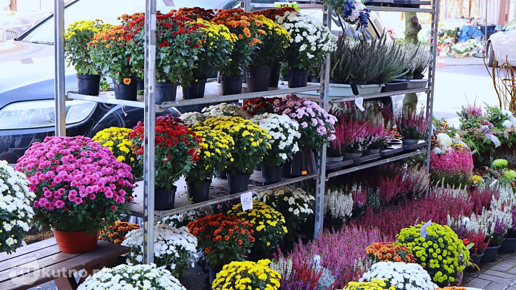 Znicze i kwiaty na Wszystkich Świętych