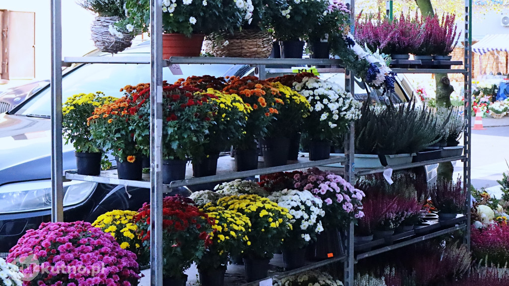 Znicze i kwiaty na Wszystkich Świętych