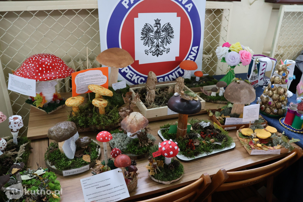 Festiwal Dobrej Mody 2025