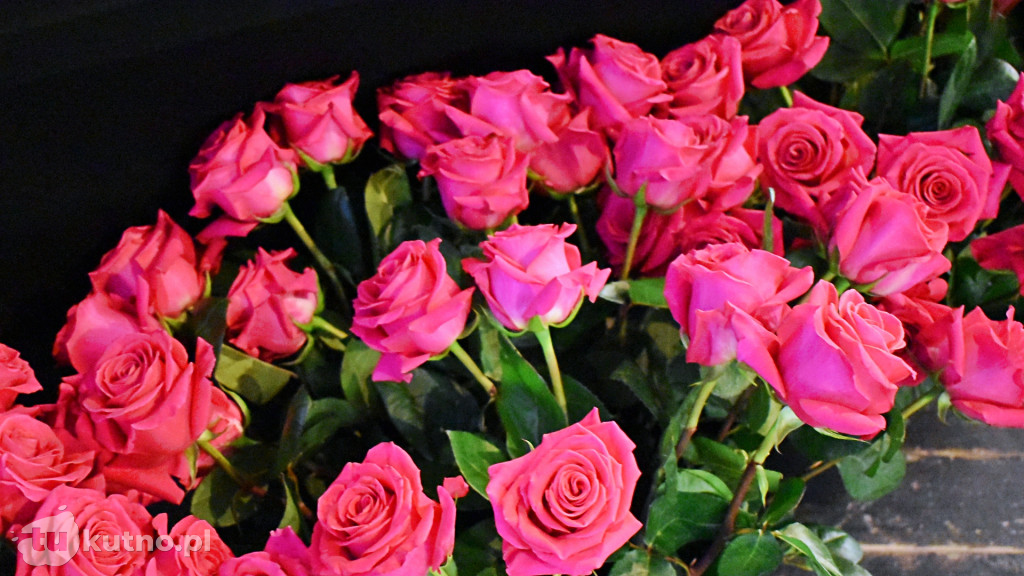 Gala Wolontariusza Roku 2025